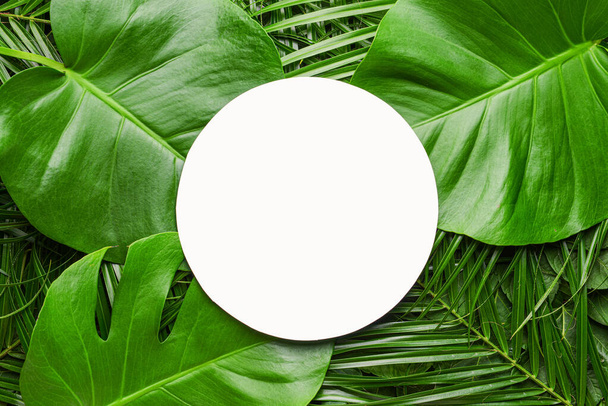Üres kártya zöld trópusi levelekkel - Fotó, kép