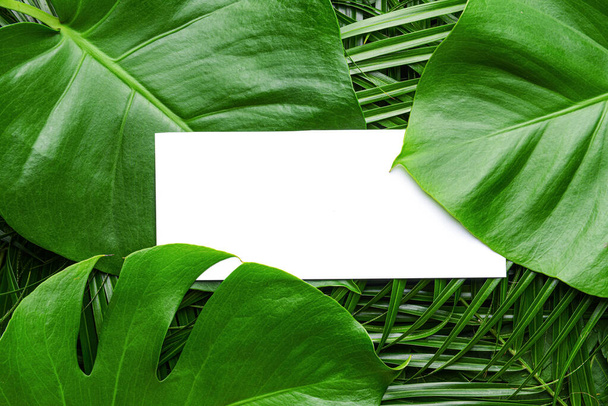 Порожня листівка з зеленим тропічним листям
 - Фото, зображення