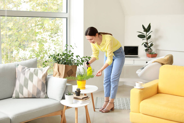 Young woman spraying water on houseplant at home - Photo, Image