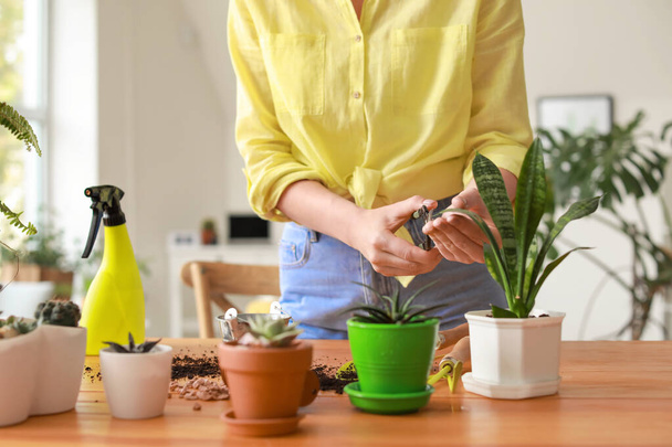 Giovane donna che si prende cura di piante d'appartamento a casa
 - Foto, immagini