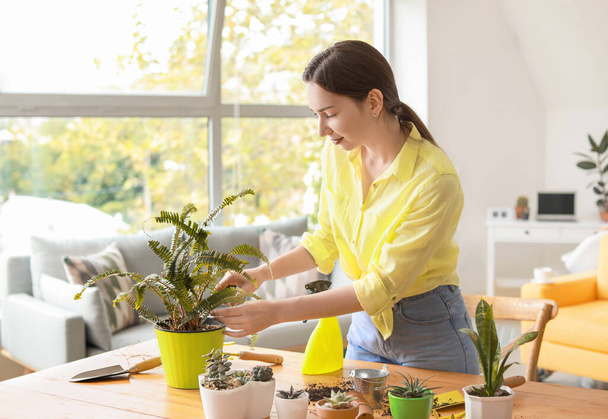 Jonge vrouw zorgt voor kamerplanten thuis - Foto, afbeelding