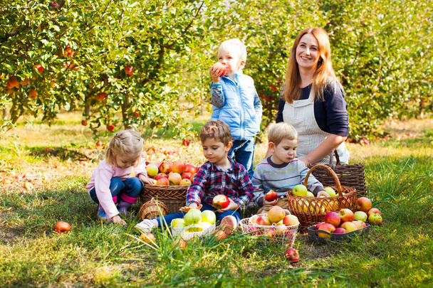 Teacher with preschoolers in the apple garden - Foto, Bild