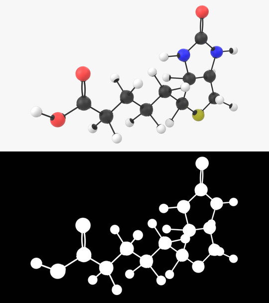 Ilustração 3D de uma molécula de vitamina B7 com camada alfa
 - Foto, Imagem