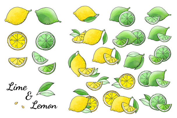 Векторна ілюстрація лимонів, малюнок лайма
 - Вектор, зображення