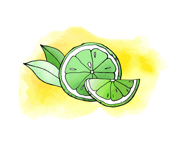 vector illustration of lemons, art drawing - Vector, Image