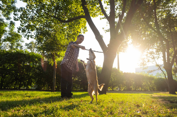 fröhlicher junger Rüde spielt mit Mischlingshund im sonnigen Sommerpark - Foto, Bild