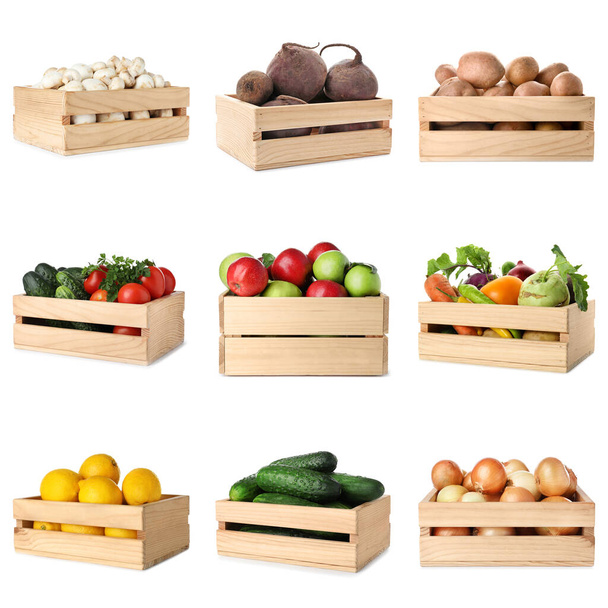 Set of wooden crates with different fruits and vegetables on white background - Foto, imagen