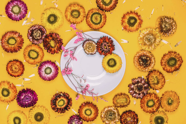 Top view concept van pastel gele achtergrond Kleurrijke bloemen Helichrysum bracteatum concept ansichtkaart. - Foto, afbeelding