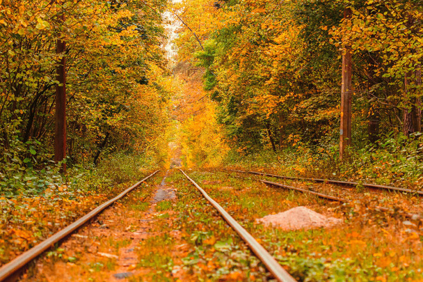 Autumn forest through which an old tram rides (Ukraine) - Φωτογραφία, εικόνα