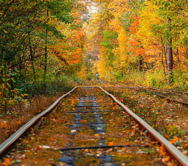 Autumn forest through which an old tram rides (Ukraine) - Φωτογραφία, εικόνα