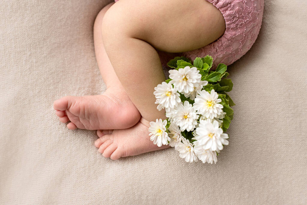  pies del bebé recién nacido con flor, dedos en el pie, cuidado materno, amor y abrazos familiares, ternura
  - Foto, Imagen