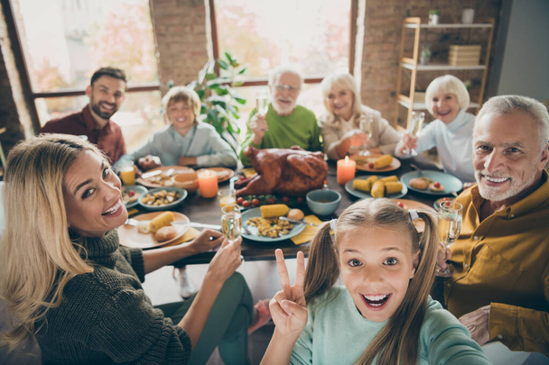 Cheers. Photo of big family sit feast dishes table roasted turkey multi-generation relatives shooting selfies showing v-sign raising wine glasses in living room indoors - Foto, imagen