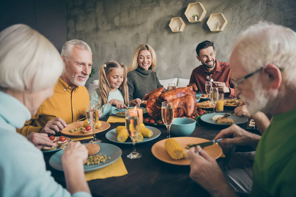 Portrait of nice affectionate cheerful big full family couples enjoying domestic homemade tasty yummy meal dishes feast gratefulness gathering tradition modern loft industrial style interior house - Foto, immagini