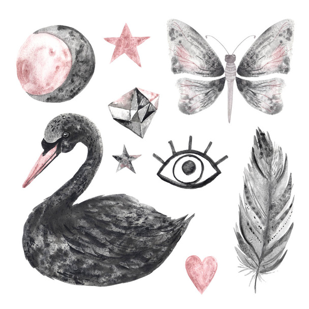 Watercolor hand painted magical black swan - Foto, Bild