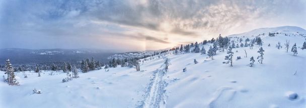 Beautiful winter landscape in the mountains  - Fotografie, Obrázek