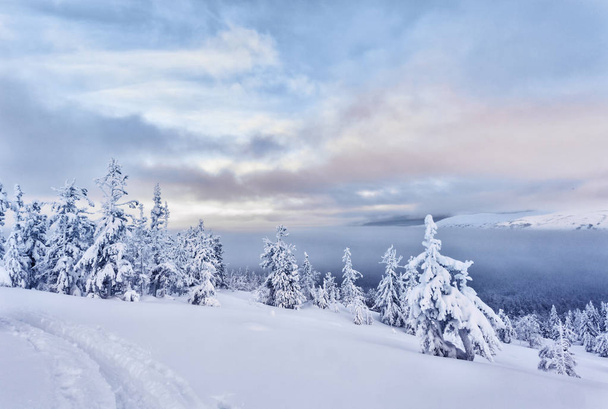 Fő Ural ridge pasmurynm nap, látta a naplemente festék a havas lejtőkön, fák, hó, felhők alatt - Fotó, kép