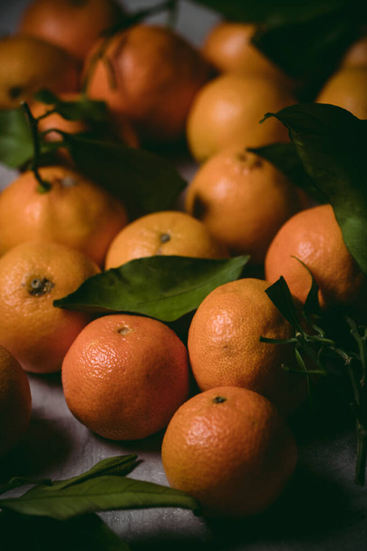 Festive clementines on a winter time - Фото, изображение