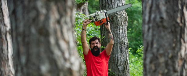 Lumberjack with chainsaw in his hands. The Lumberjack working in a forest. Deforestation. The Lumberjack working in a forest. Lumberjack on serious face carries chainsaw. - Foto, afbeelding
