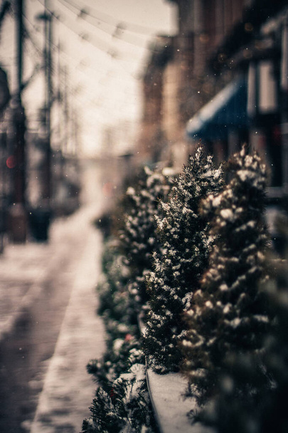 Silvestr sněží ve městě. Ukazuje se v ulicích Downtownu. Zasněžené městské ulice - Fotografie, Obrázek