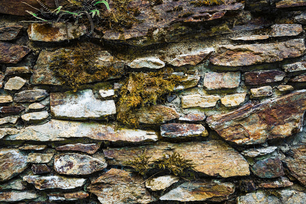 Stone wall with green moss background. - Fotoğraf, Görsel