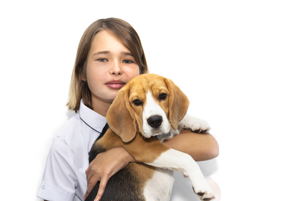 Portrait of a teenage girl with a dog breed Beagle. - Photo, Image