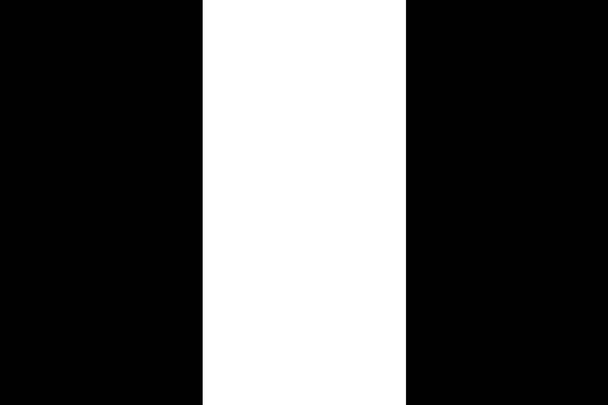 Tricolore drapeau ligne verticale proportion en mode couleur noir et w
 - Vecteur, image