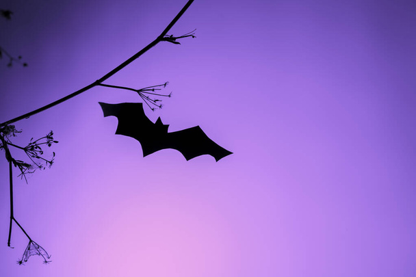 Fond d'Halloween créatif et tendance avec des chauves-souris en papier noir volant au-dessus d'un fond clair au néon violet. Espace de copie. concept de décoration de carte, minimalisme
 - Photo, image