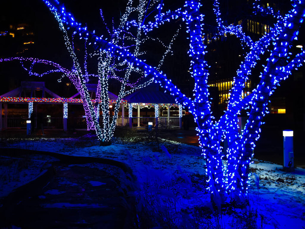 Stromy zdobené modrými světly a bílým sněhem - Fotografie, Obrázek