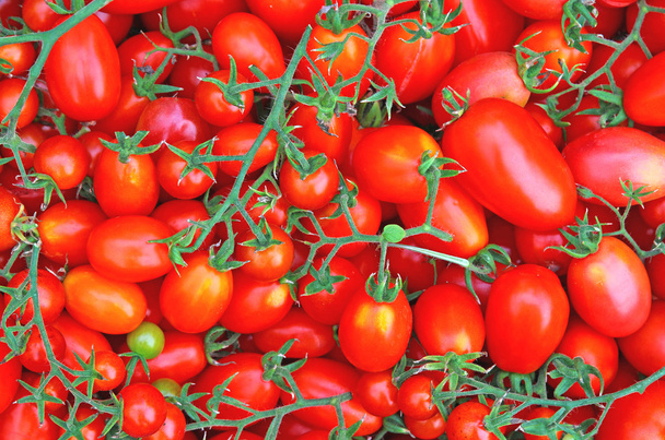 Red ripe tomatoes - Photo, Image