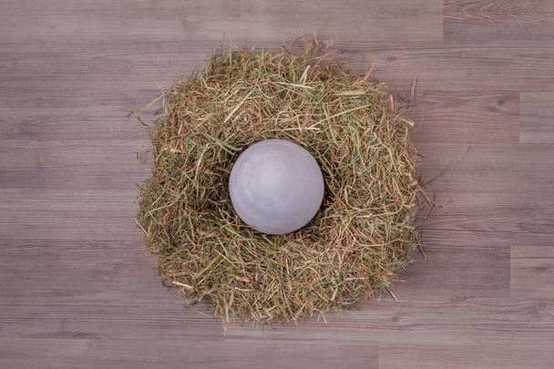 Nido de Pascua decoraton cesta con huevo grande sobre fondo de madera
 - Foto, imagen