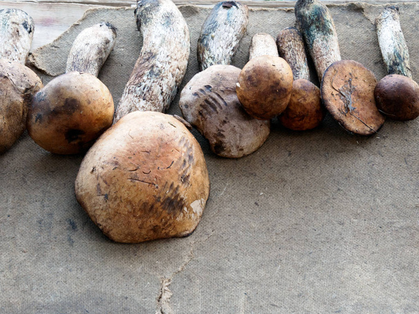 Edible mushrooms in the spontaneous market. - 写真・画像