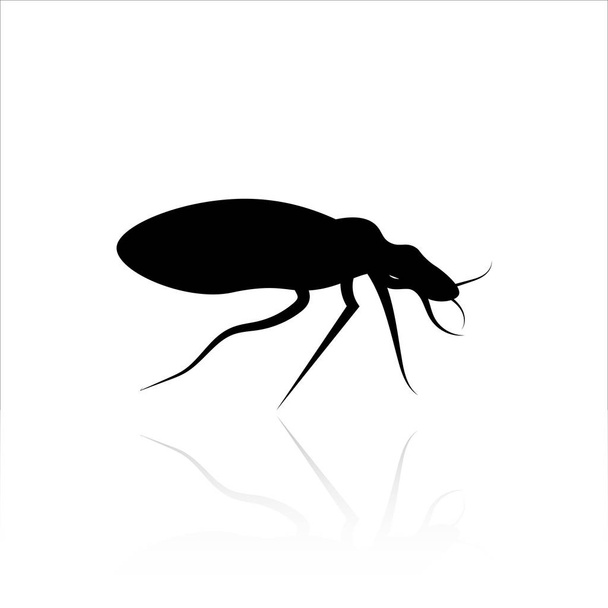 Design vettoriale icona bug. Vettore degli insetti
 - Vettoriali, immagini