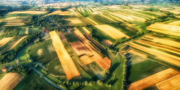 Drone vue aérienne - champs le matin
 - Photo, image