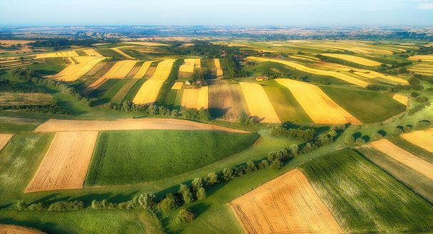 Drone aerial view - fields on the morning - Foto, afbeelding