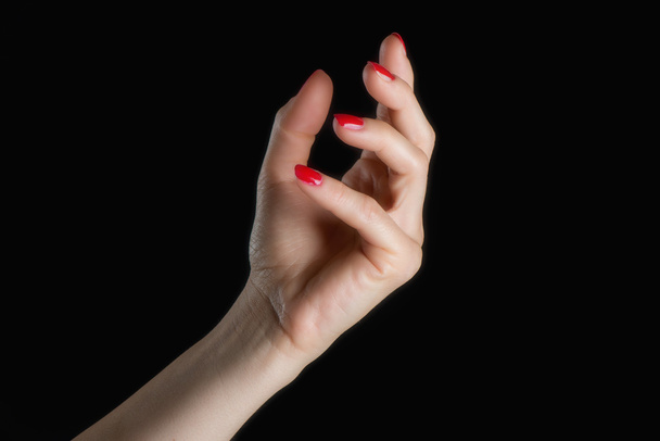 kadın eli - Fotoğraf, Görsel