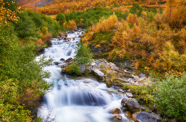 Beautiful autumn landscape with yellow trees and wriver - Zdjęcie, obraz