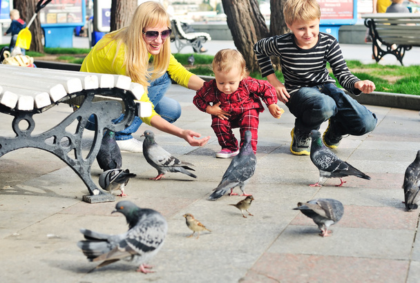 family feeding doves - Foto, Imagem