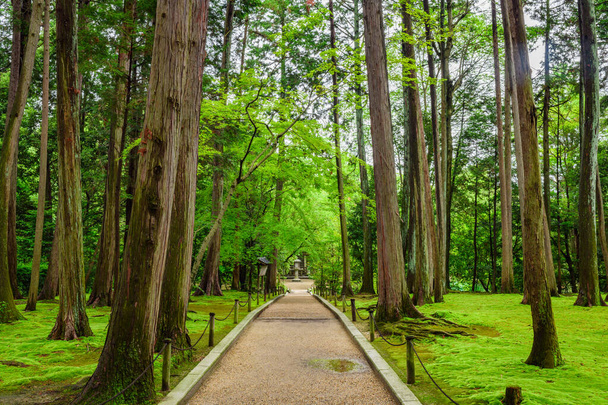 Road to Ganjin's burial grounds, Toshodaiji Temple, Nara - Фото, зображення