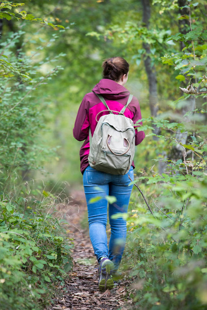 Woman with backpack  walking  in autumnal forest. Leaves are falling down.   - Photo, image