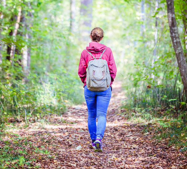 Woman with backpack  walking  in autumnal forest. Leaves are falling down.   - Φωτογραφία, εικόνα