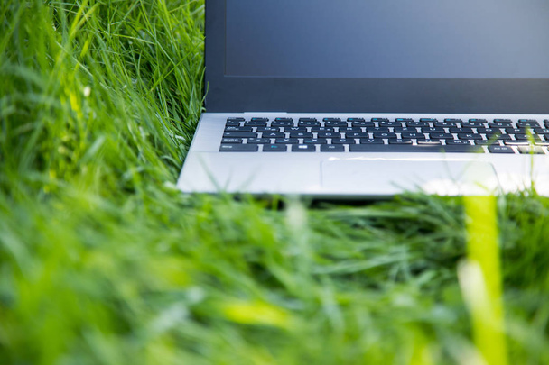 Close up laptop pc computer  on green grass  - Foto, Bild