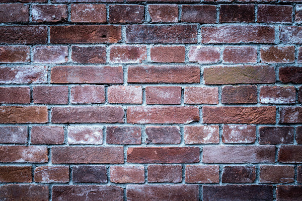 Brown Textured brick wall background - Фото, зображення