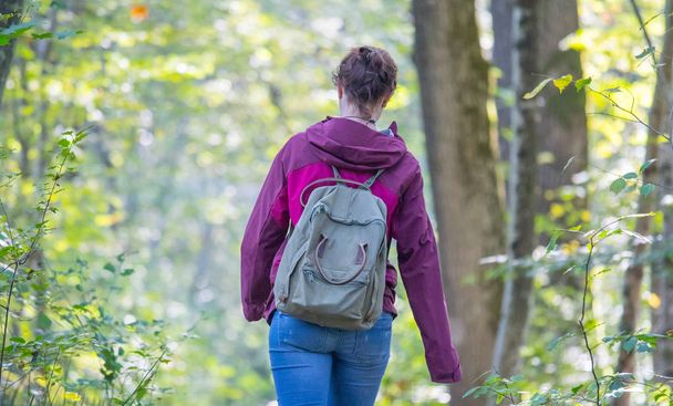 Woman with backpack  walking  in autumnal forest. Leaves are falling down.   - Foto, afbeelding