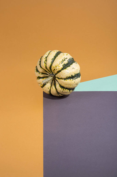 Ripe decorative pumpkin on a colored background - Foto, Imagen