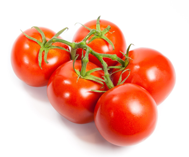Closeup of tomatoes on the vine isolated on white. Tomato branch - Fotó, kép