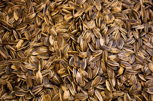 Edible nutrition Sunflower seeds and Sunflower grains background . - Photo, Image