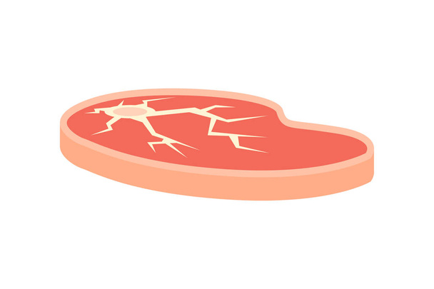 a piece of meat in a flat - Vector, Image