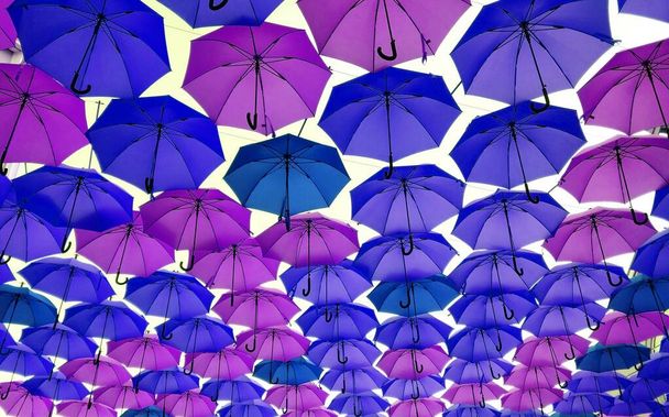 πολύχρωμες ομπρέλες κατά τη διάρκεια μιας πόλης - Φωτογραφία, εικόνα