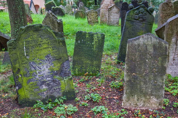 Stary cmentarz żydowski w Pradze - Zdjęcie, obraz