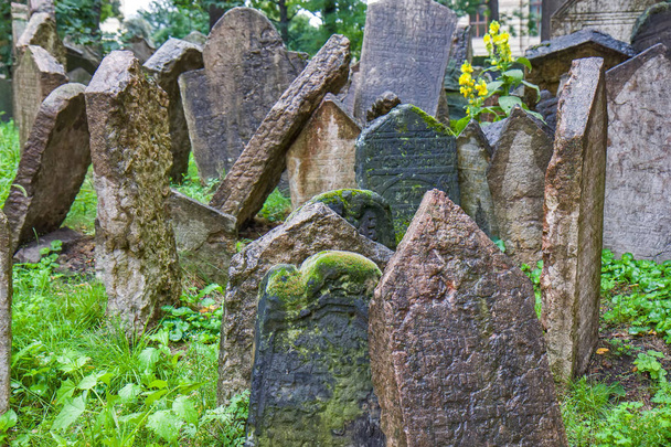 Cemitério Judaico Velho, Praga
 - Foto, Imagem